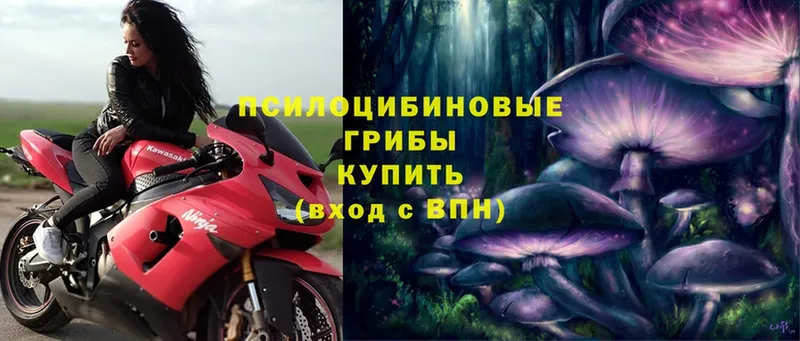 Галлюциногенные грибы MAGIC MUSHROOMS Нестеровская