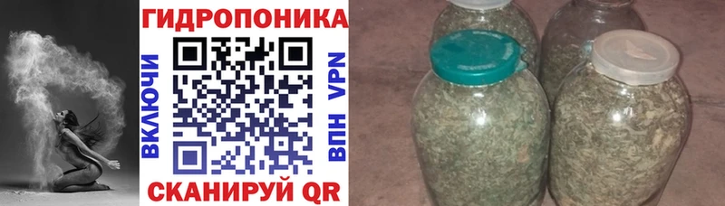 Конопля MAZAR  где купить наркоту  Нестеровская 